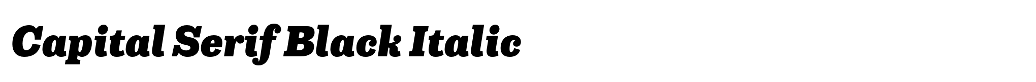 Capital Serif Black Italic image